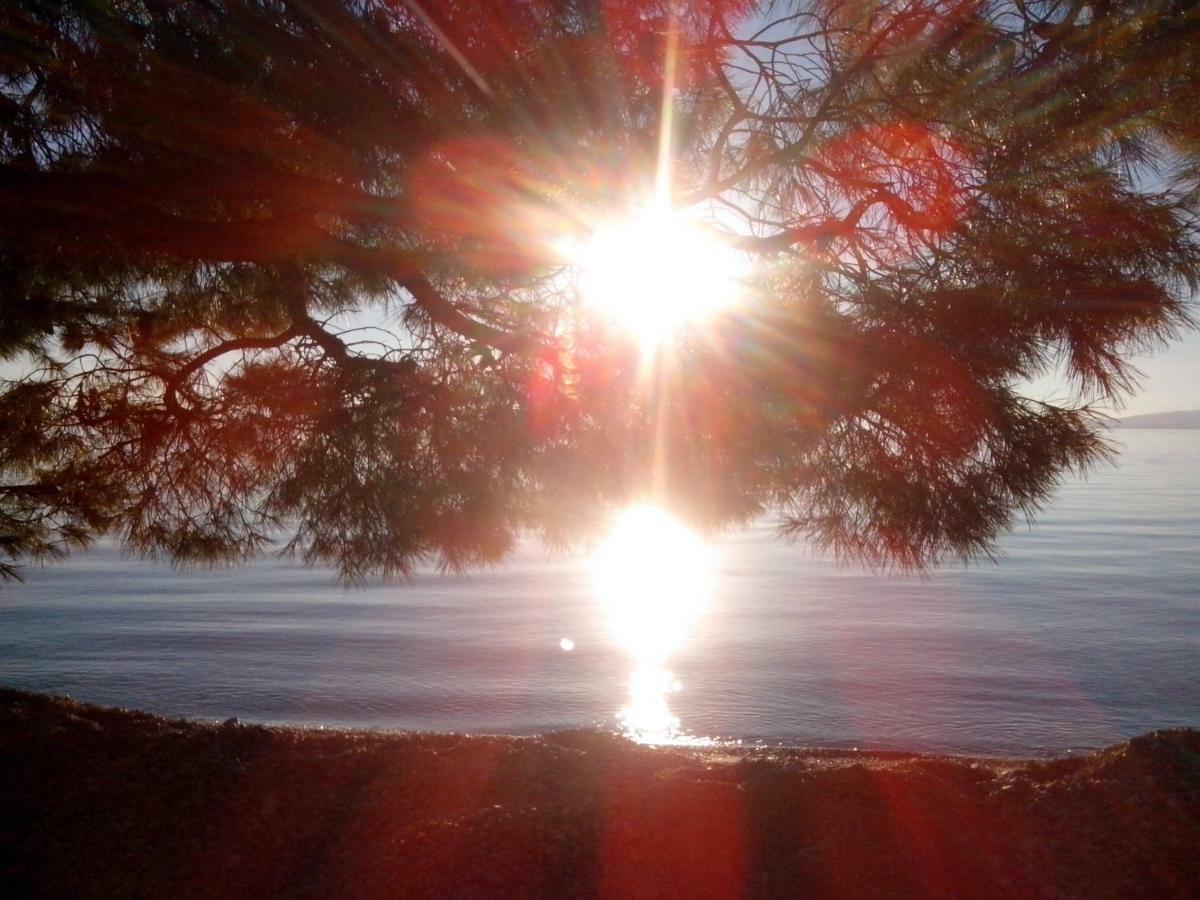 Apartman Robertino 1966 Makarska Kültér fotó